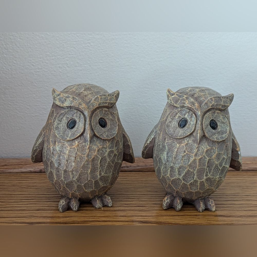 Owl Statues Home Decor, Owl Figurines Set Of 2 Brown Resin with Black Eyes Boho! - Picture 2 of 5